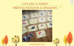 Let's play in Arabic! Listening & speaking games with flashcards - matching game - Arabic Seeds - Arabic for kids