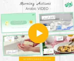 Arabic video morning actions routine - Arabic Seeds