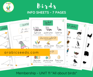 Birds theme info sheets Arabic worksheets printable by Arabic Seeds