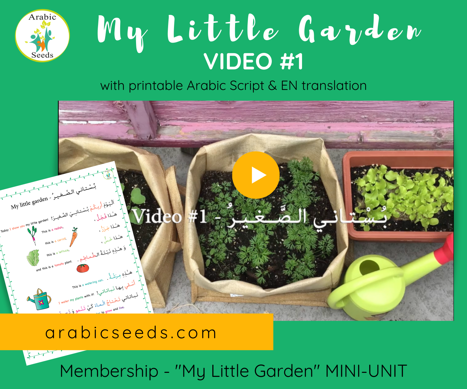 My Little Garden Arabic video for kids printable Arabic Seeds unit