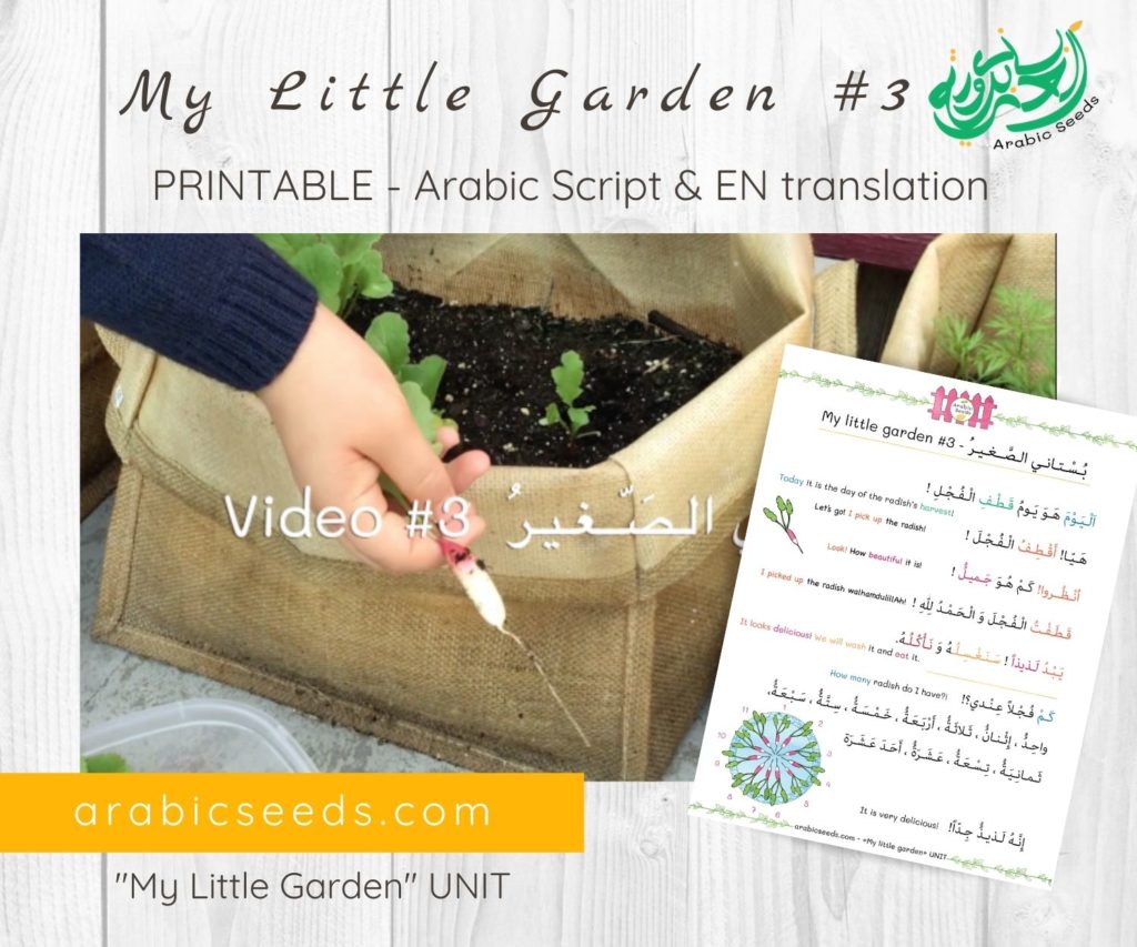 My Little Garden 3 - Arabic video for kids printable Arabic Seeds unit