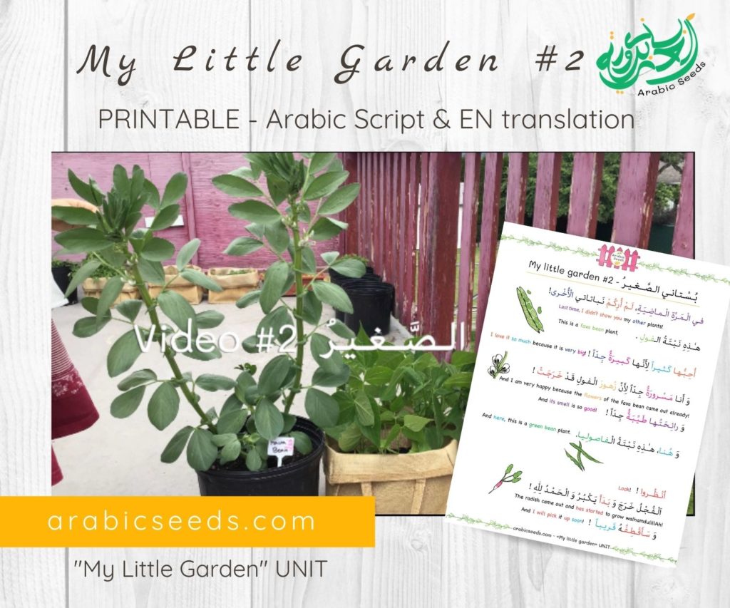 My Little Garden 2 – Video Printable (Script & English translation)