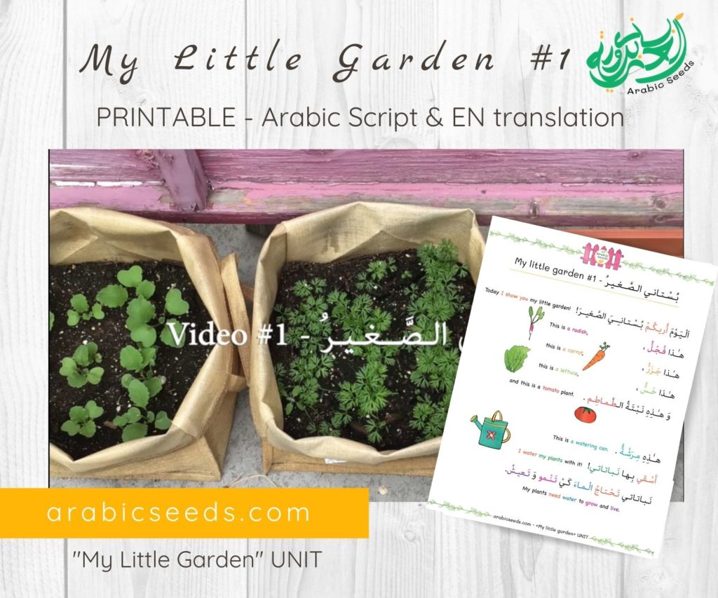 My-Little-Garden 1-Arabic-video-for-kids-printable-Arabic-Seeds-unit