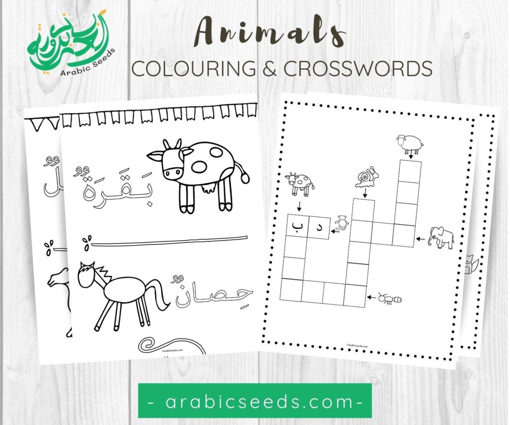 Animals Arabic Colouring Crosswords Printable Arabic Seeds Kids