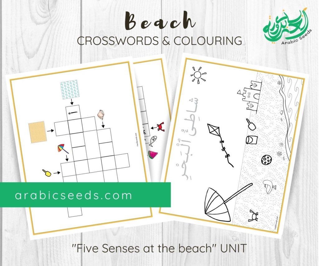 Arabic Beach Crosswords Colouring Printable - Beach theme - Arabic Seeds Kids
