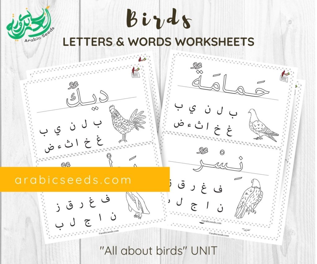 Arabic Birds Writing Worksheets - words letter recognition - Arabic Seeds printable for kids-2
