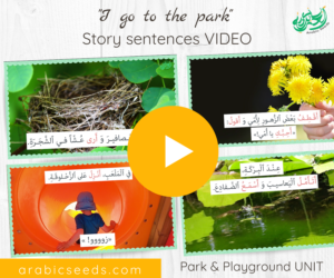 Arabic Park video for kids - Park and playground sentences - Arabic Seeds