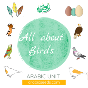 Arabic birds unit theme - printables, videos, audios, games - Arabic Seeds resources for kids