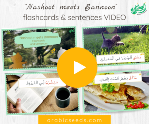 Arabic video for kids Nashoot meets Bannoon flashcards and sentences - Arabic Seeds