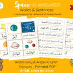 Space Flashcards & Sentences