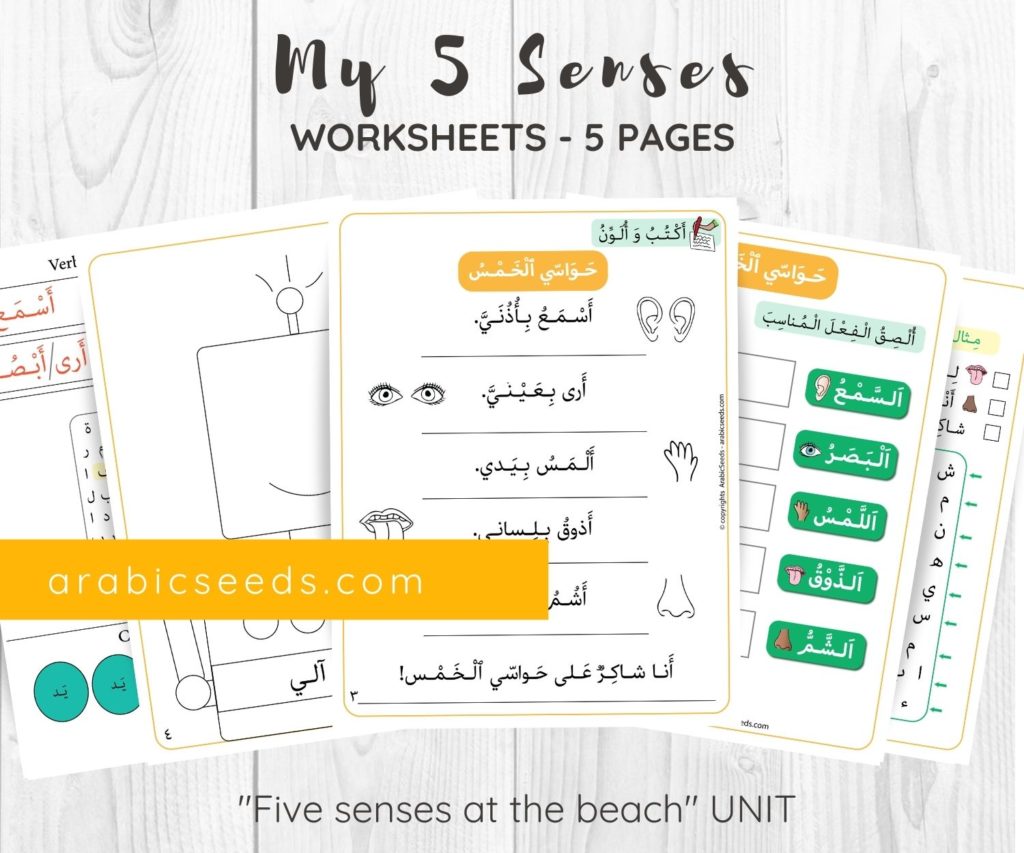 My five senses Arabic worksheets printable by Arabic Seeds
