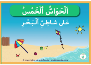 "Five senses at the beach" Arabic book read-aloud video