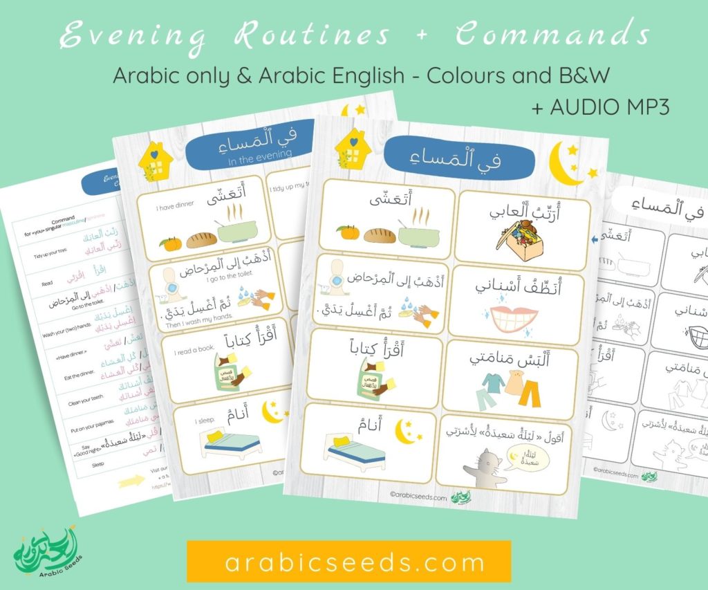 Arabic Evening Routines printable flashcards poster and commands - Arabic only & Arabic English - Arabic Seeds