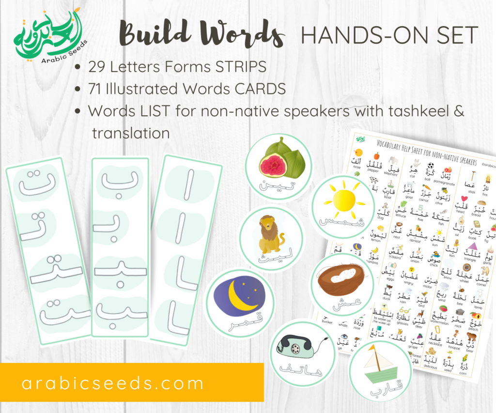 Build Arabic Words (letters forms) HANDS-ON SET