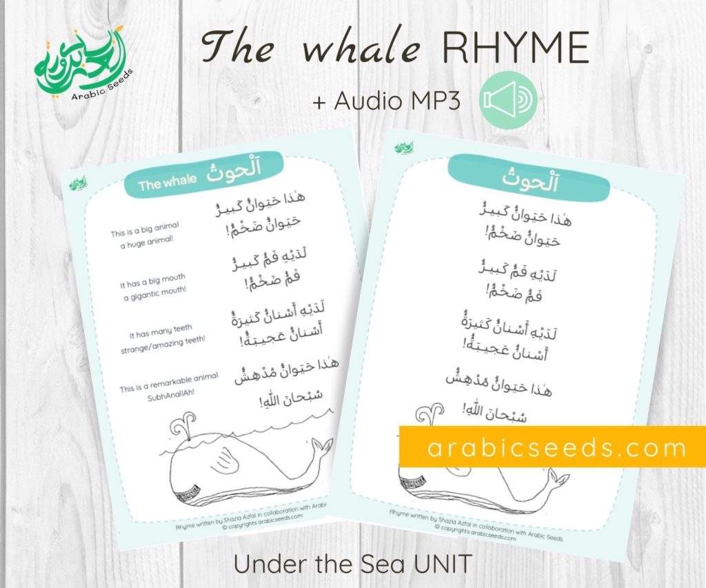 The whale Arabic rhyme - printable and audio - under the sea unit - Arabic Seeds