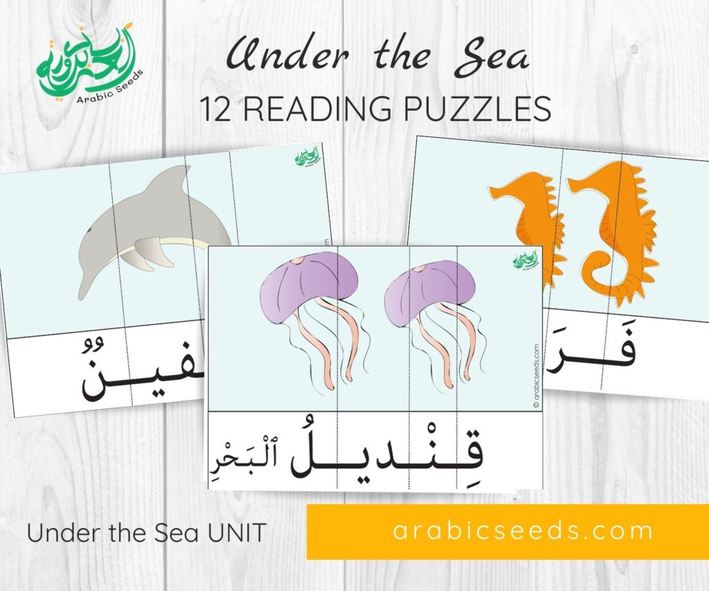 Under the Sea Arabic reading puzzles - themed unit - Arabic Seeds printables for kids