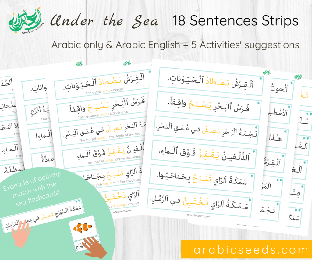 Arabic under the sea sentences strips printable - Arabic Seeds themed units