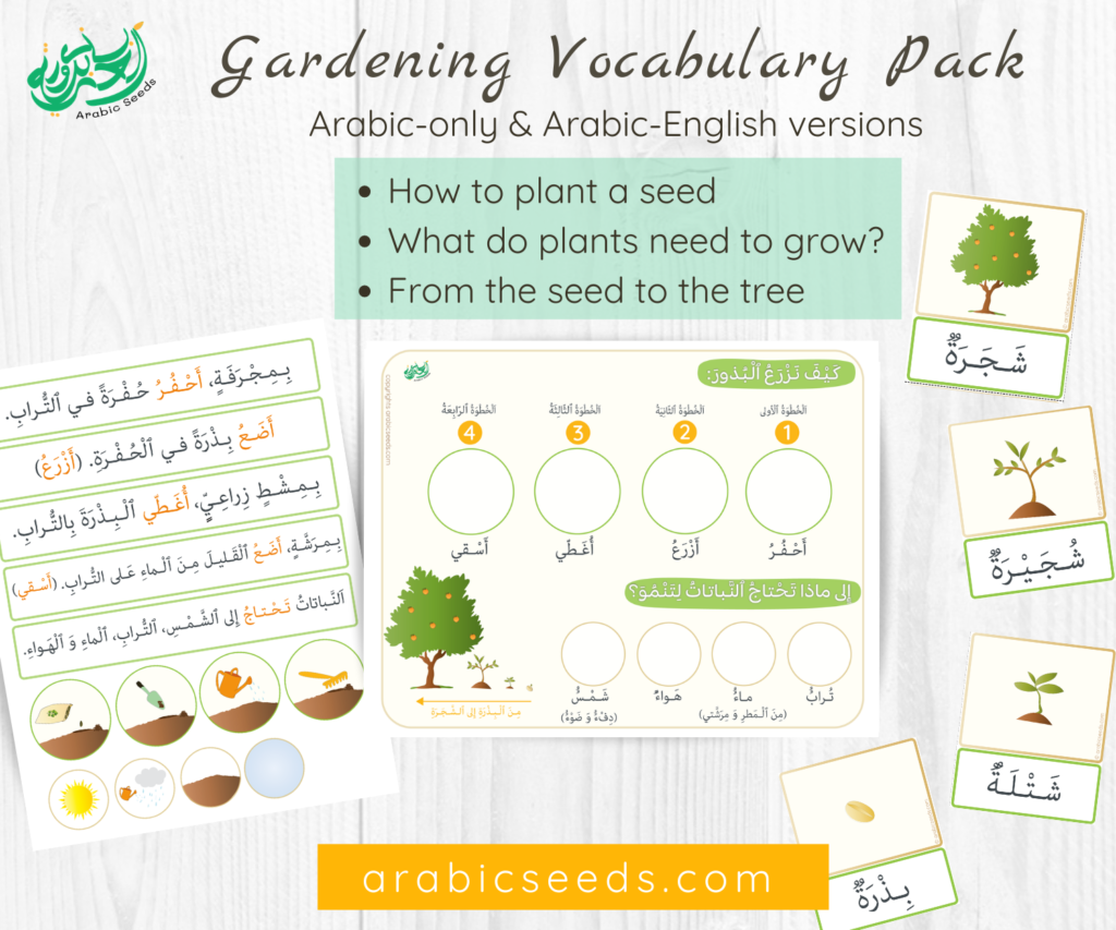 Arabic Gardening Vocabulary pack, how to plant, plants needs, from seed to tree - Arabic Seeds printables