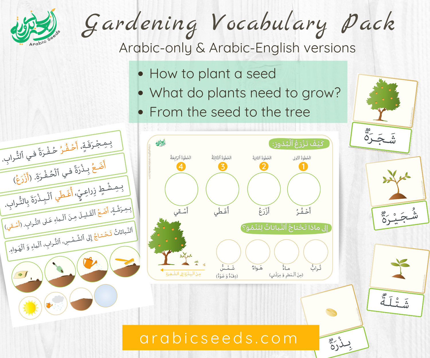 Arabic Gardening Vocabulary pack, how to plant, plants needs, from seed