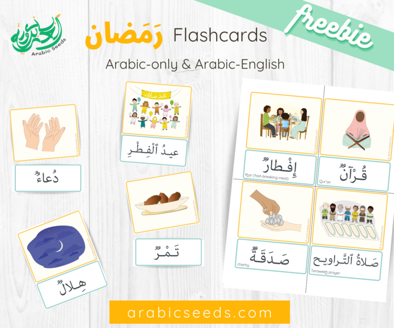 Arabic free Ramadan Flashcards - Arabic Seeds free printables