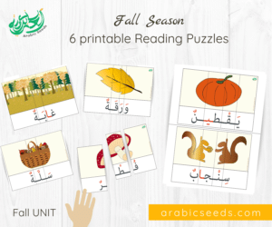 Arabic Fall season printable Reading Puzzles - Fall Autumn themed Unit - Arabic Seeds