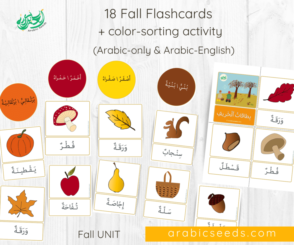 Fall season Arabic English Flashcards and color sorting activity - Arabic fall autumn unit - Arabic Seeds printables